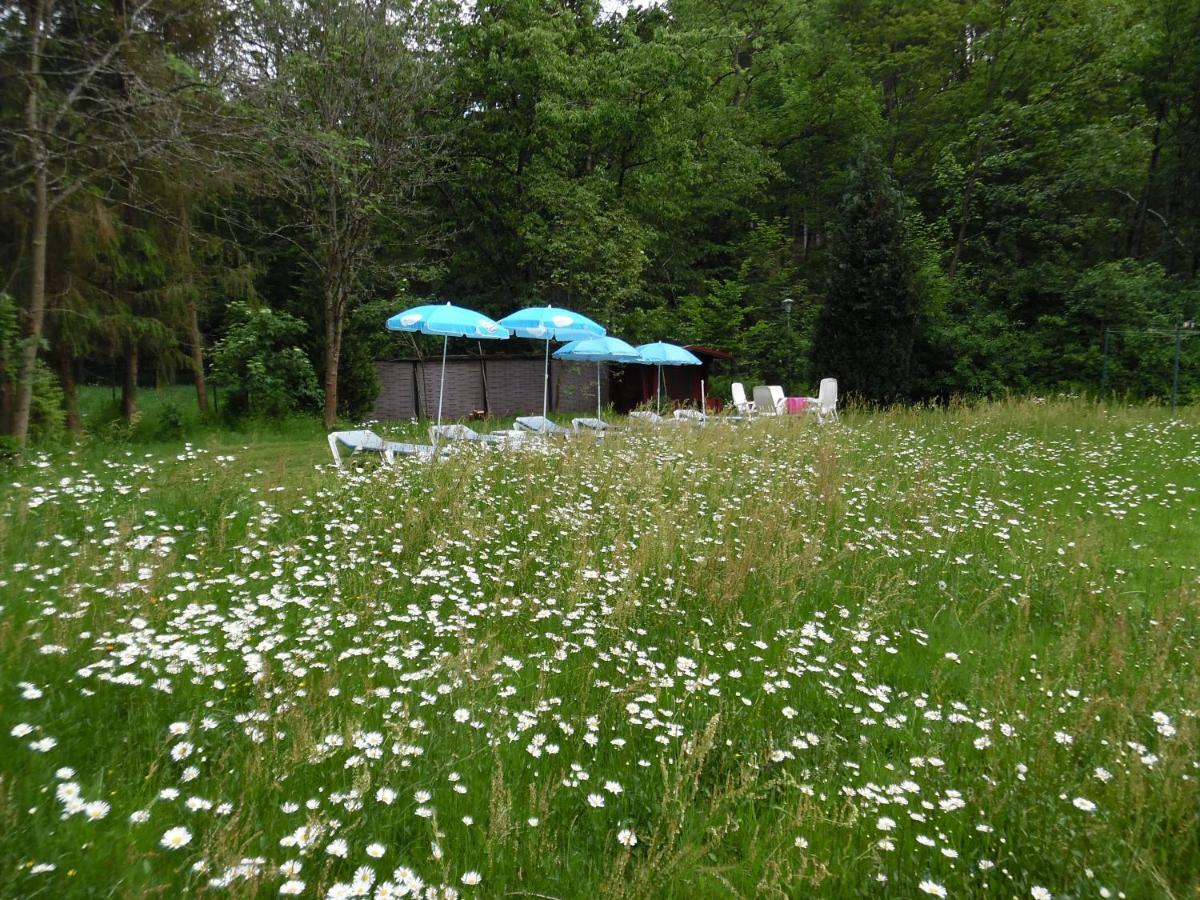 Wellness Und Romantik Hotel Helmboldt 바트사흐사 외부 사진